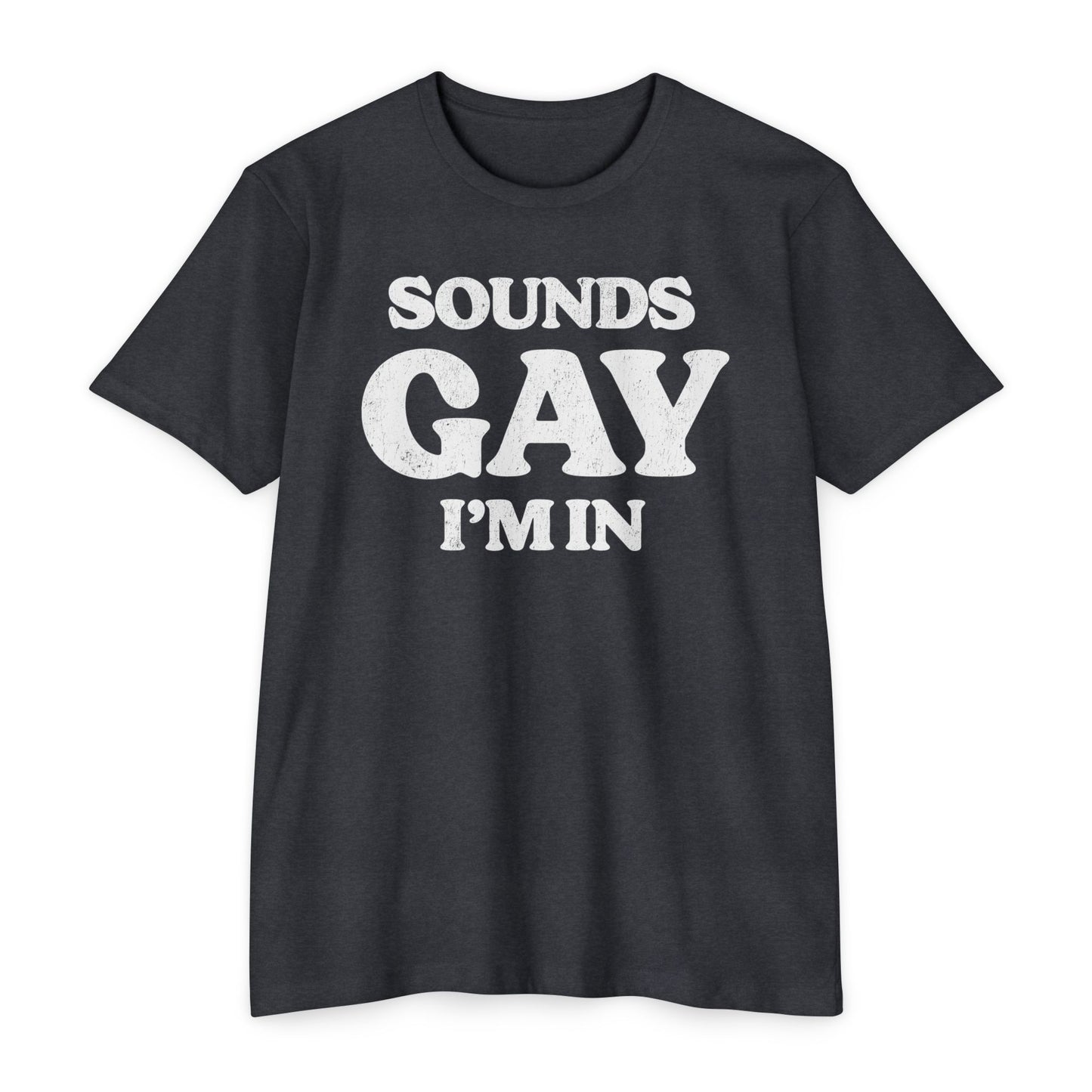 Sounds Gay, I'm in! - Printed on NextLevel Unisex CVC 6210 T-Shirt