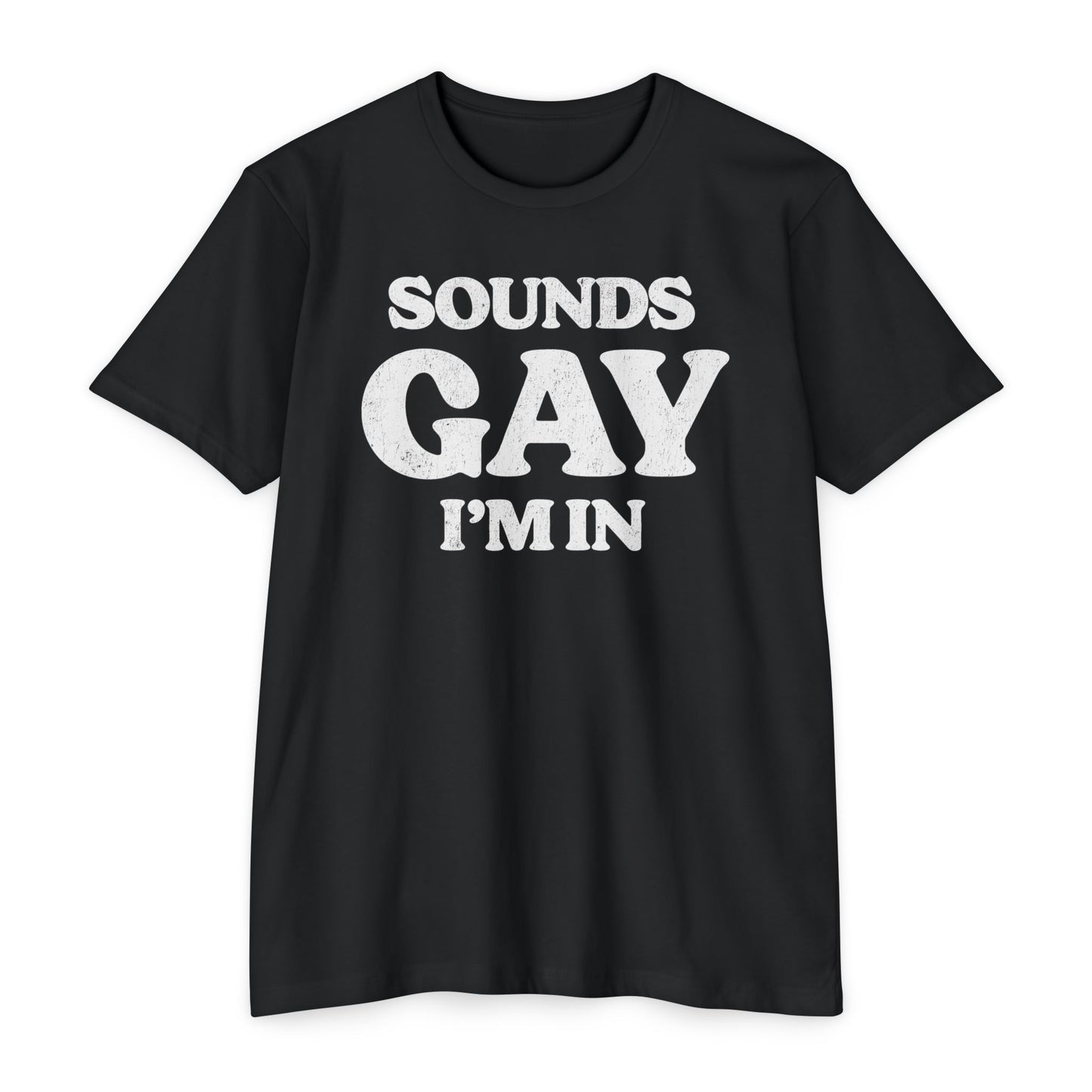 Sounds Gay, I'm in! - Printed on NextLevel Unisex CVC 6210 T-Shirt