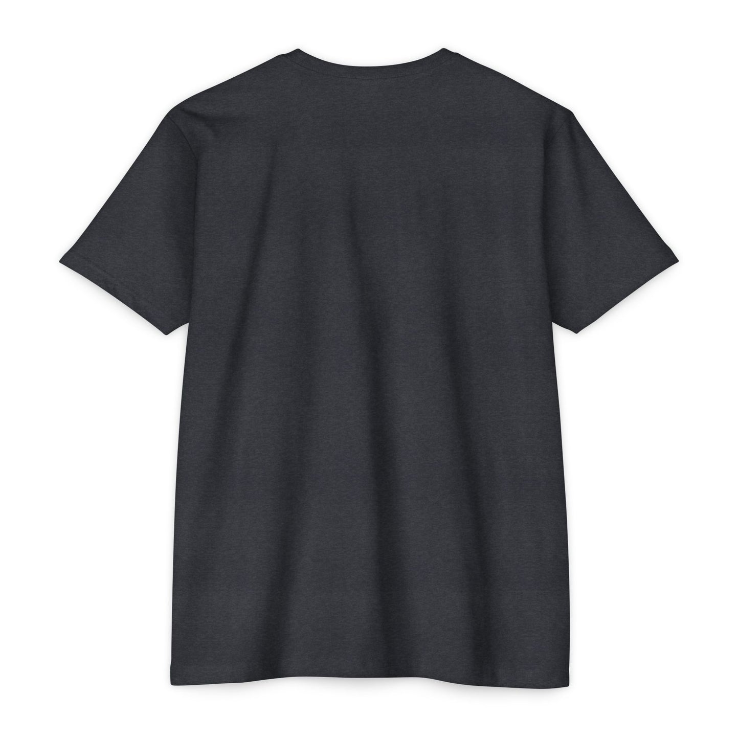 Sounds Gay, I'm in! - Printed on NextLevel Unisex CVC 6210 T-Shirt