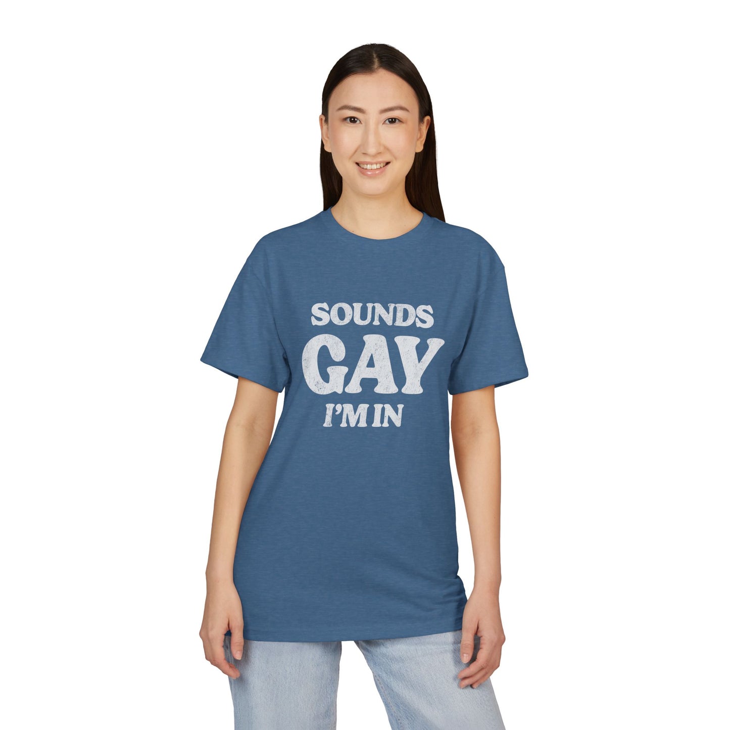 Sounds Gay, I'm in! - Printed on NextLevel Unisex Sueded T-Shirt