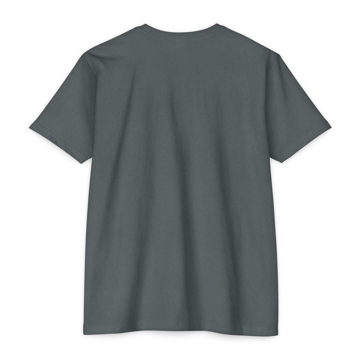 BTTFTP - on NextLevel Unisex CVC Jersey T-shirt