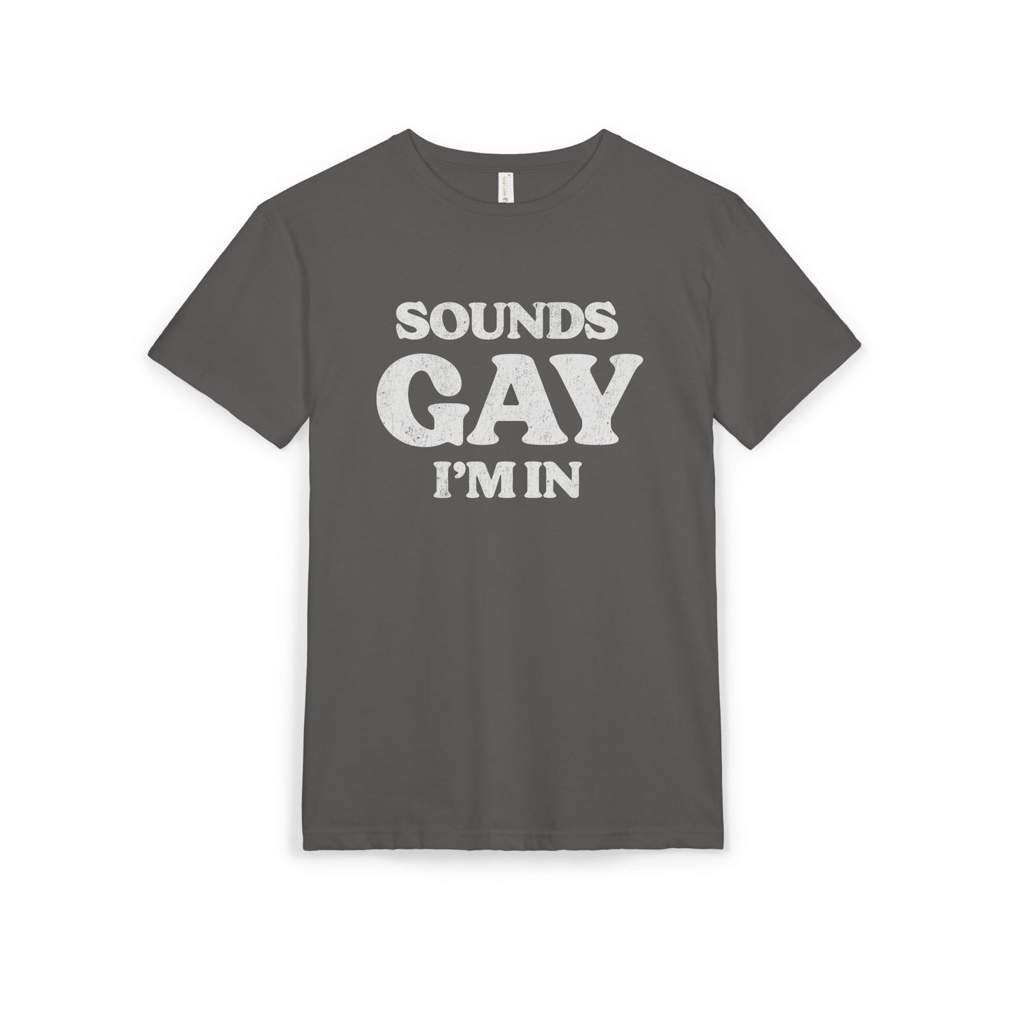 Sounds Gay, I'm in! - Printed on NextLevel Unisex Sueded T-Shirt