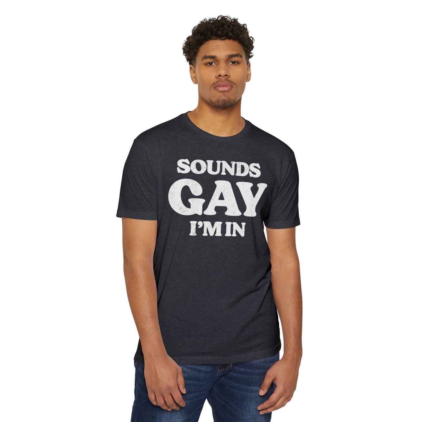 Sounds Gay, I'm in! - Printed on NextLevel Unisex CVC 6210 T-Shirt