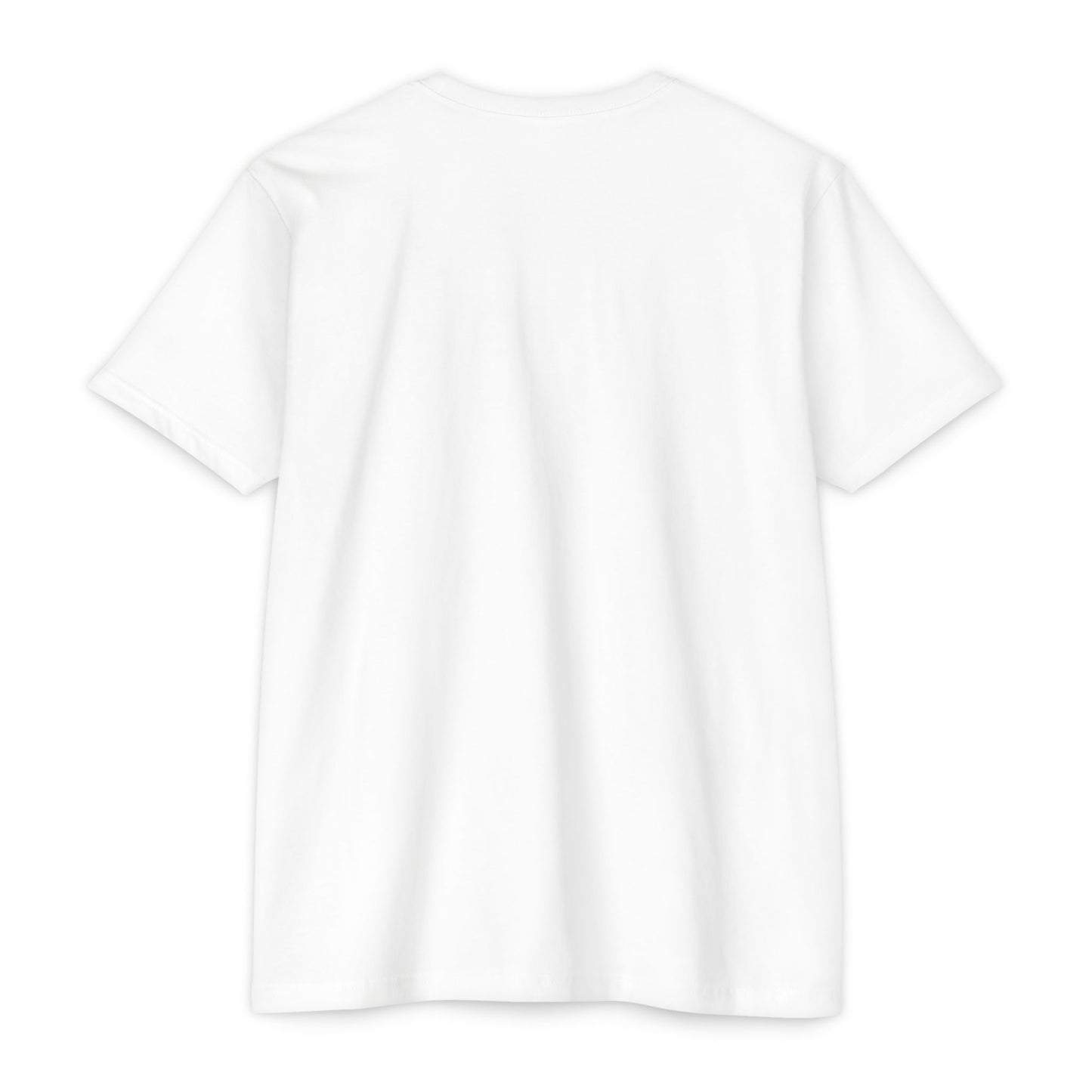 BTTFTP - on NextLevel Unisex CVC Jersey T-shirt