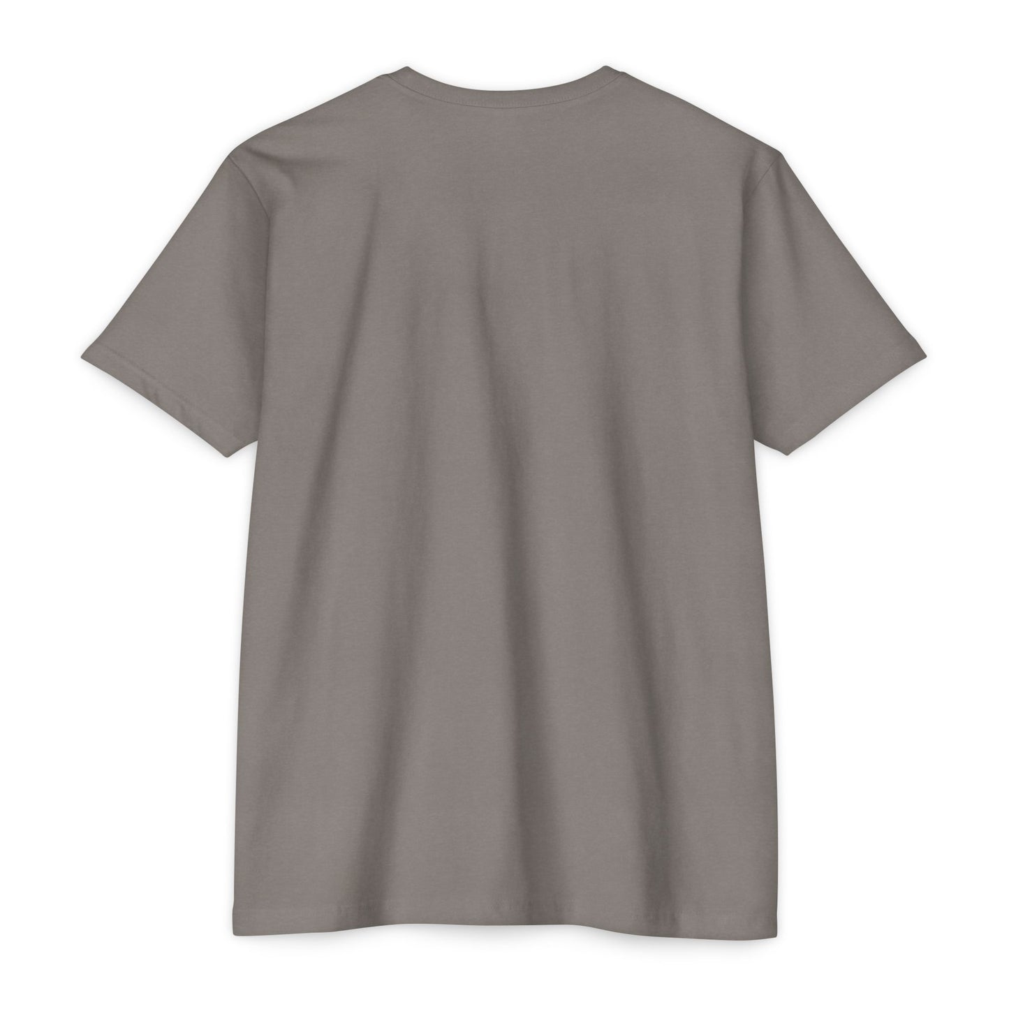 BTTFTP - on NextLevel Unisex CVC Jersey T-shirt