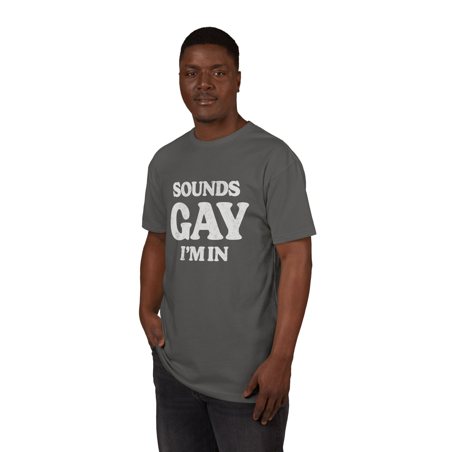 Sounds Gay, I'm in! - Printed on NextLevel Unisex Sueded T-Shirt
