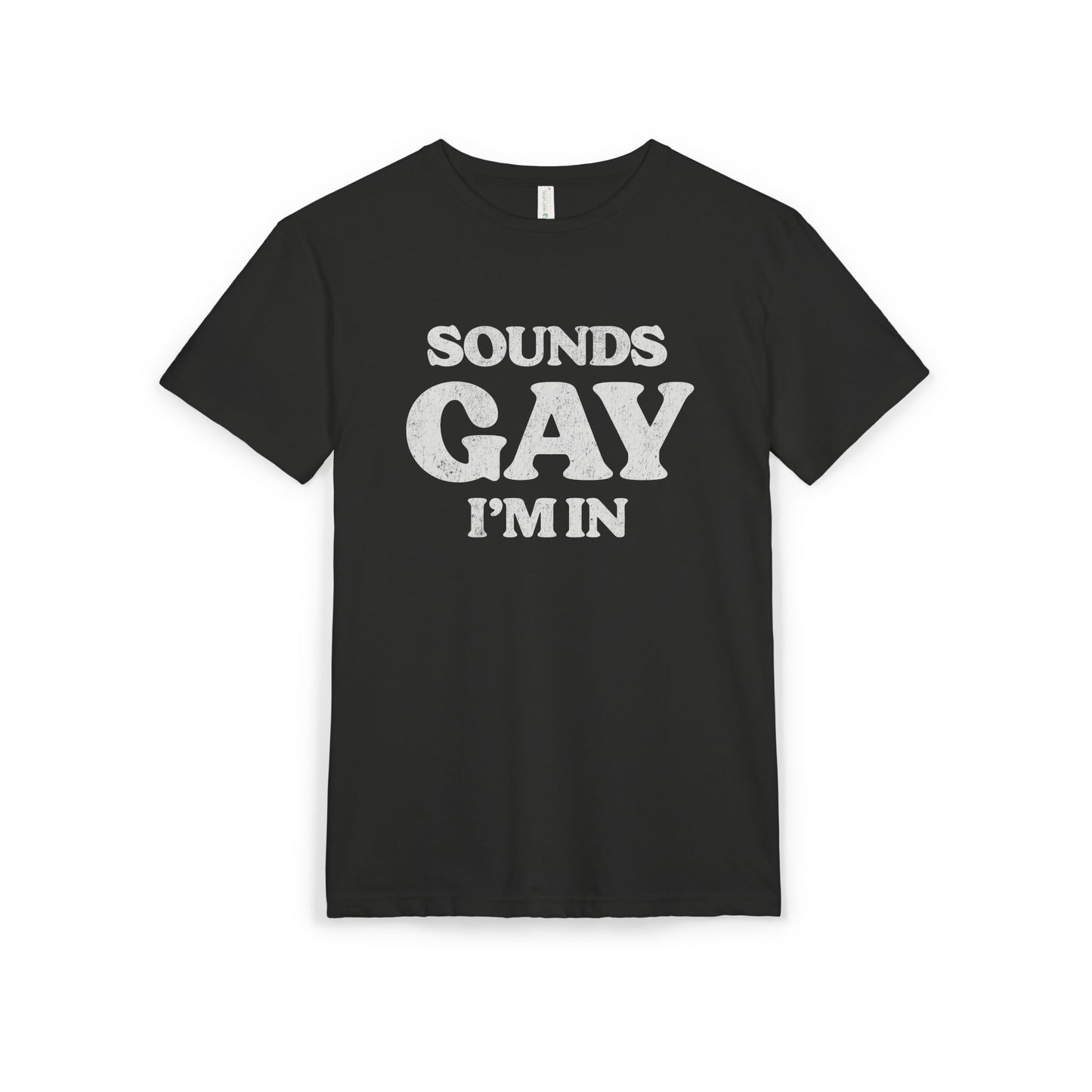 Sounds Gay, I'm in! - Printed on NextLevel Unisex Sueded T-Shirt