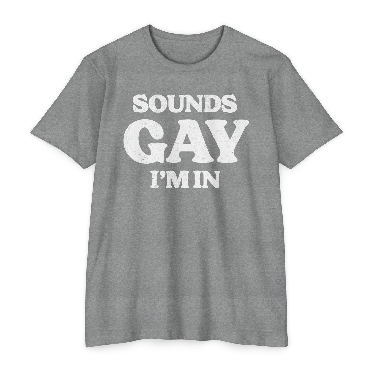 Sounds Gay, I'm in! - Printed on NextLevel Unisex CVC 6210 T-Shirt