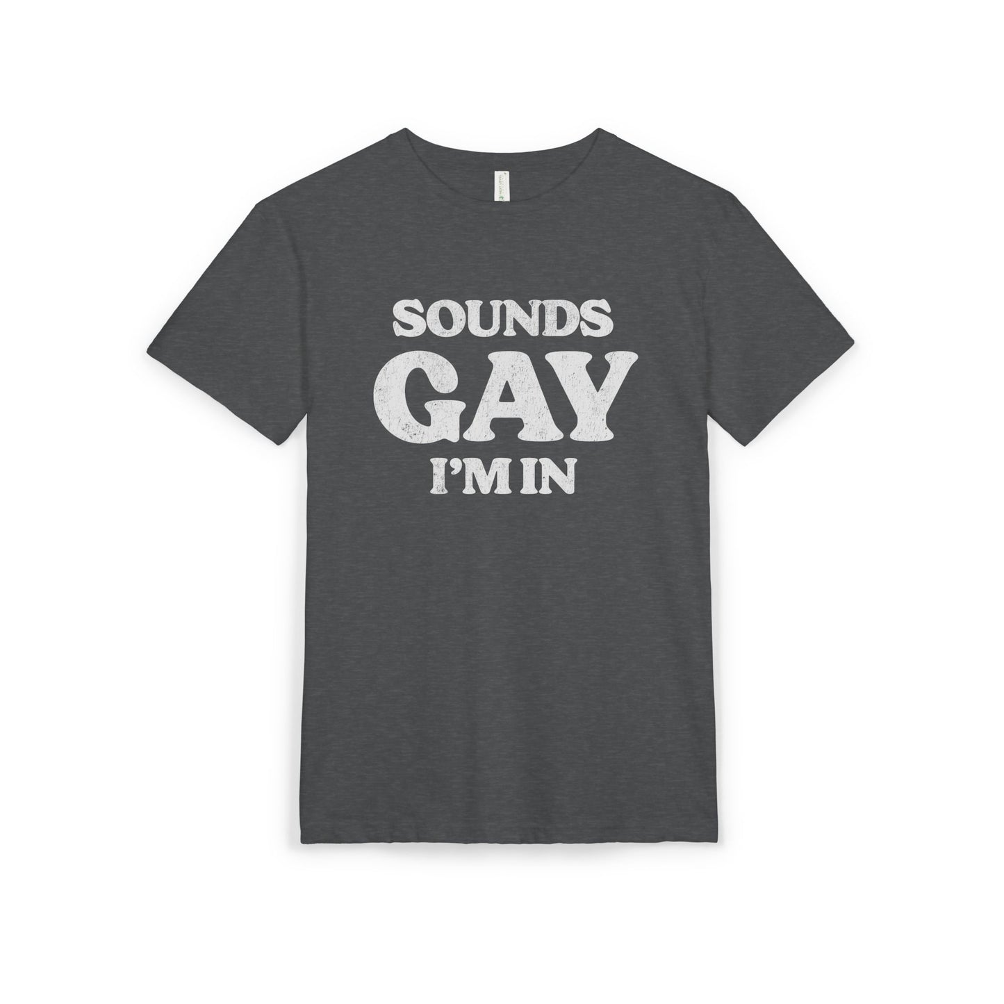 Sounds Gay, I'm in! - Printed on NextLevel Unisex Sueded T-Shirt