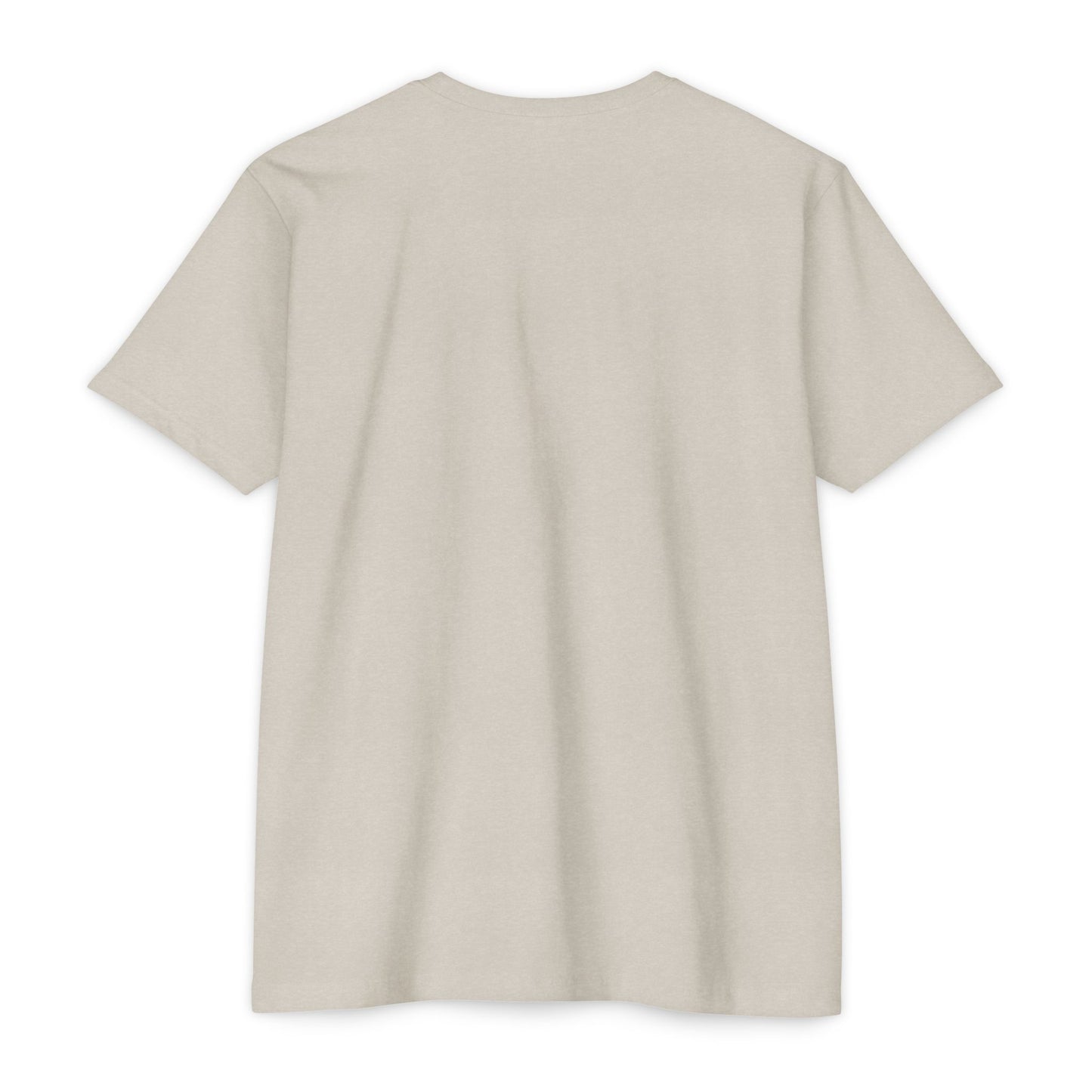 BTTFTP - on NextLevel Unisex CVC Jersey T-shirt
