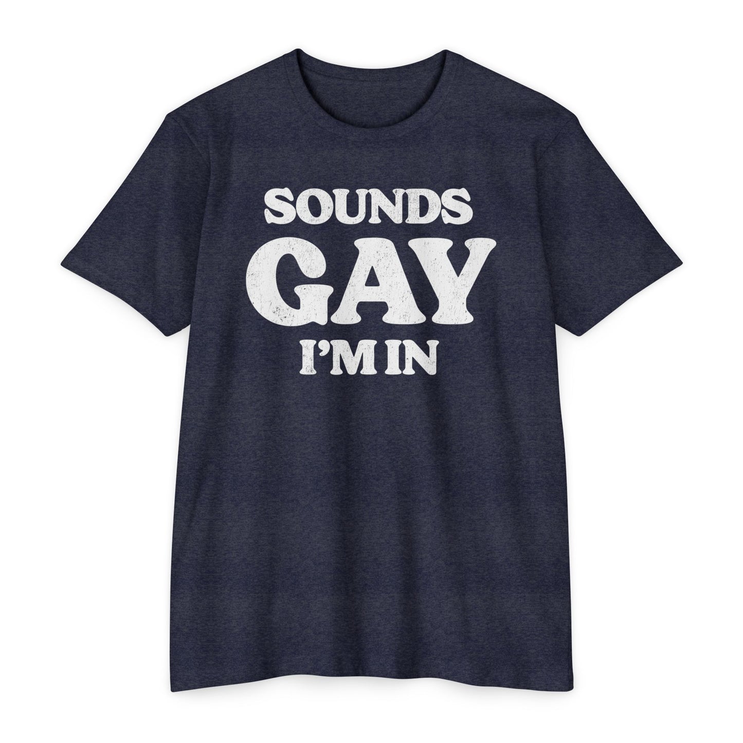 Sounds Gay, I'm in! - Printed on NextLevel Unisex CVC 6210 T-Shirt
