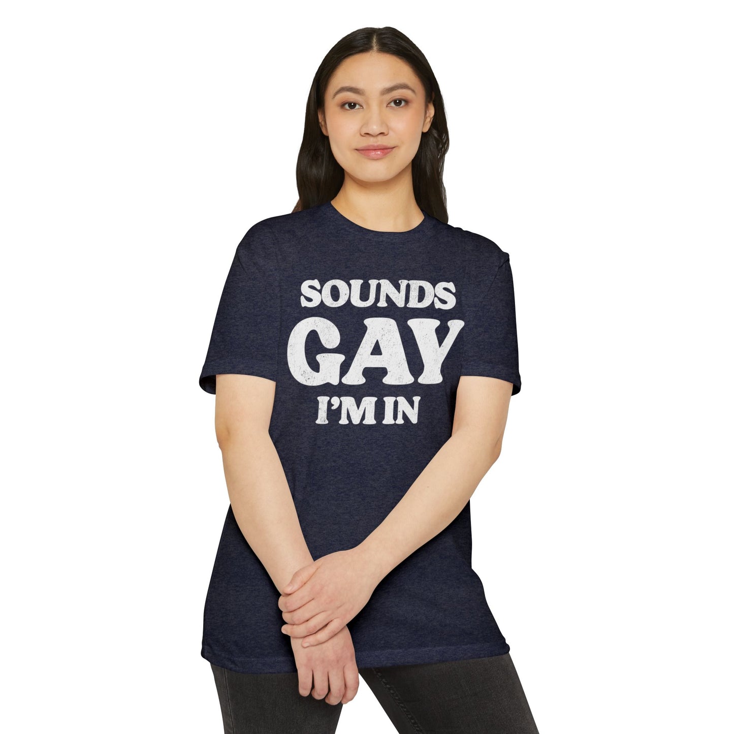 Sounds Gay, I'm in! - Printed on NextLevel Unisex CVC 6210 T-Shirt