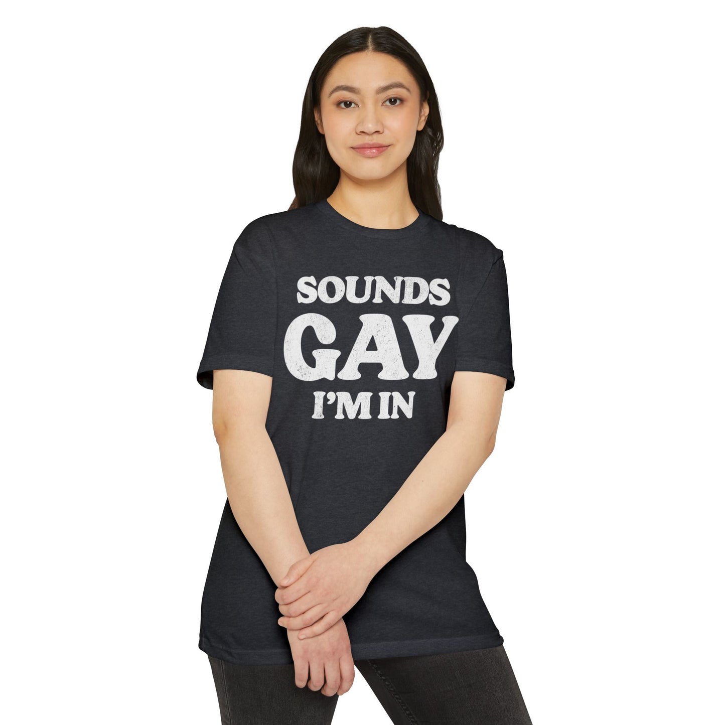 Sounds Gay, I'm in! - Printed on NextLevel Unisex CVC 6210 T-Shirt