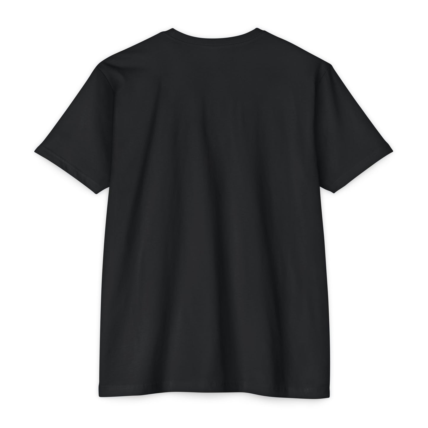 BTTFTP - on NextLevel Unisex CVC Jersey T-shirt
